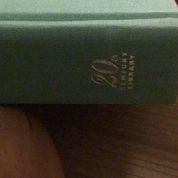 The Age of Innocence - Picture 3 of 9